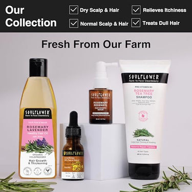 Soulflower Frankincense Essential Oil- Pure, Organic, Natural & Undiluted Therapeutic Grade Essential Oil| Healthy Hair, Face, Skin Wrinkles, Scalp, Control Acne| Boswellia Genus -Chemical Free|15ml